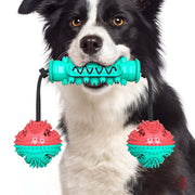 Hundespielzeug mit Zahnbürsteneffekt